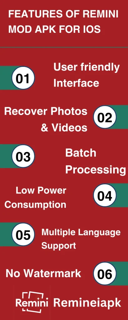 infographic for Remini iOS