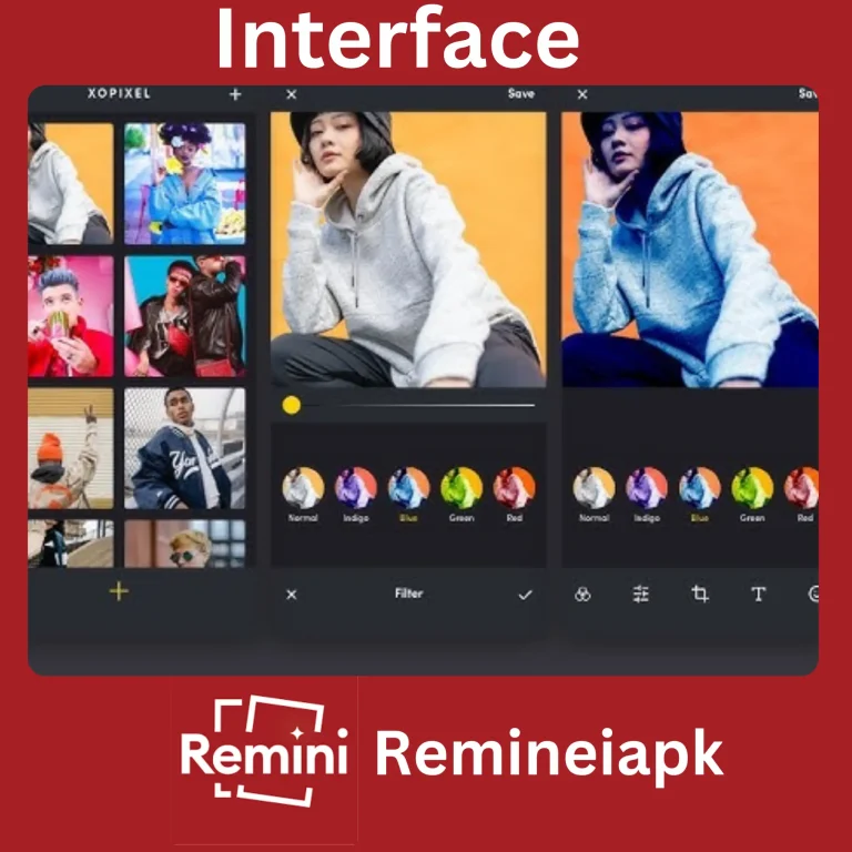 remini for pc interface image